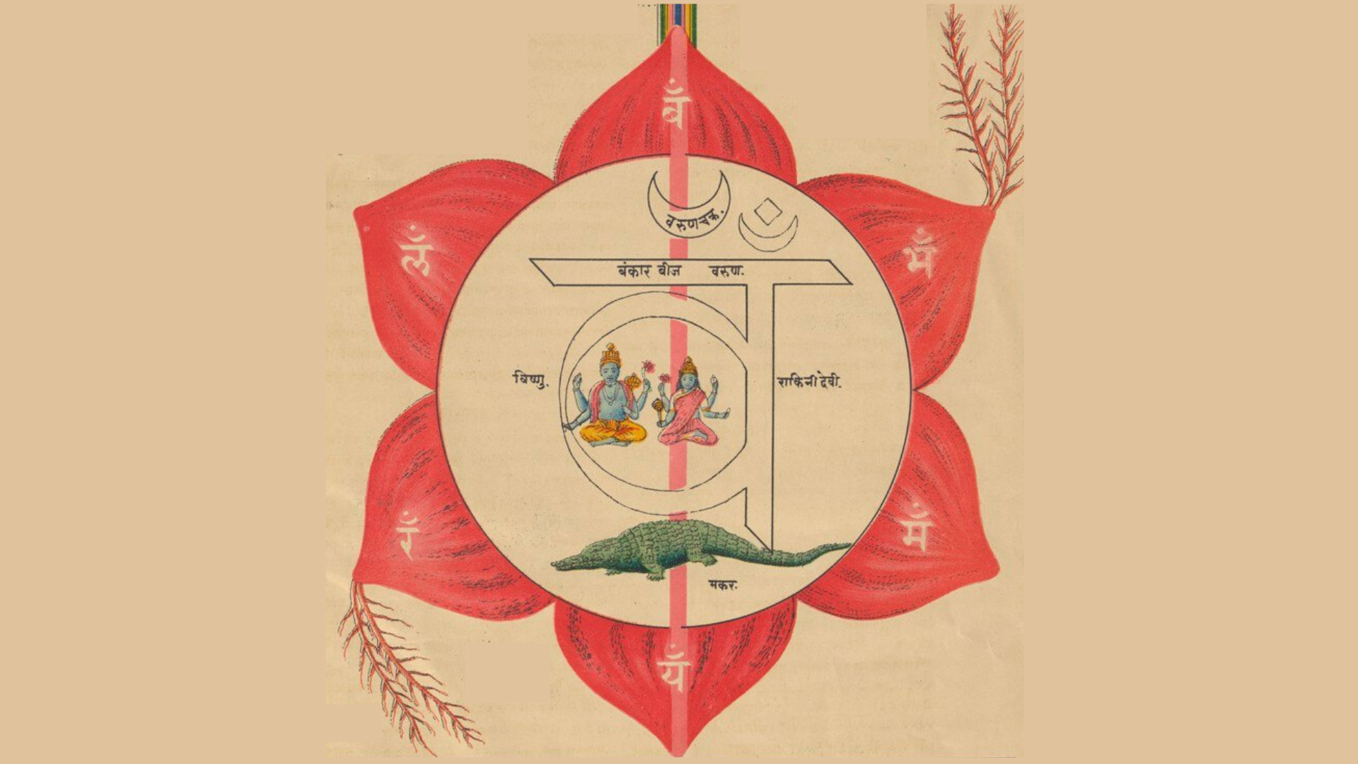 Svadhisthana čakra – mokomoji medžiaga